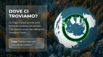 anteprima - Schede informative - La Taiga - Pagina 1