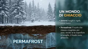 anteprima - Schede informative - La Taiga - Pagina 2