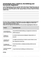 Vorschau - Arbeitsblätter - Niere, Nephron, Harnbildung und hormonelle Regulation | Fallorientierte Arbeitsblätter für den theoretischen Pflegeunterricht - Seite 3