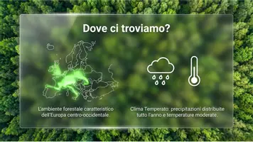 anteprima - Schede informative - La foresta temperata - Pagina 1