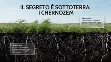 anteprima - Schede informative - La steppa - Pagina 2