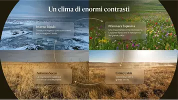 anteprima - Schede informative - La steppa - Pagina 3