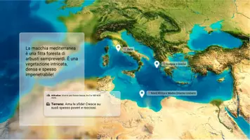 anteprima - Schede informative - La macchia mediterranea - Pagina 1
