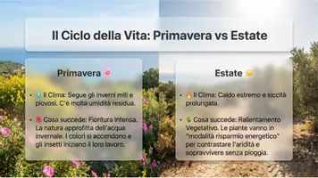 anteprima - Schede informative - La macchia mediterranea - Pagina 3