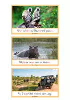Vorschau - Text - Schlaumeier-Heftchen Safari (Lesen auf Satzebene, mit Silbenschrift) - Seite 3
