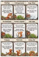 Vorschau - Spiele - Eichhörnchen – Bewegungsspiel | 26 Bewegungskarten für den Sachunterricht | Klasse 1–2 - Seite 3