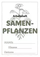 Vorschau - Arbeitsblätter - Samenpflanzen / Blütenpflanzen Arbeitsheft // Pflanzen - Seite 2