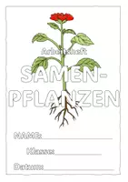 Vorschau - Arbeitsblätter - Samenpflanzen / Blütenpflanzen Arbeitsheft // Pflanzen - Seite 3