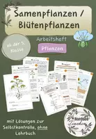 Vorschau - Arbeitsblätter - Samenpflanzen / Blütenpflanzen Arbeitsheft // Pflanzen - Deckblatt