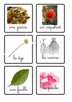 Aperçu - Cartes / Images - référentiel printemps - Page 1