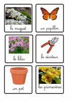 Aperçu - Cartes / Images - référentiel printemps - Page 2