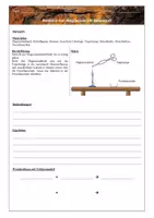 Vorschau - Arbeitsblätter - Oxidation Einführung mit zwei Versuchen - Chemie - Seite 1