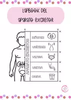 Vista previa - Hojas de trabajo - LAPBOOK DEL APARATO EXCRETOR - Portada