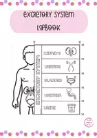 Vista previa - Hojas de trabajo - EXCRETORY SYSTEM LAPBOOK - Portada