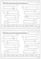 Vorschau - Arbeitsblätter - On the farm - Booklet (Englisch) - Seite 3