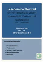 Vorschau - Spiele - Steinzeit Lesedomino Wahr Falsch Paket Bundle - Deckblatt