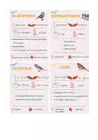 Voorbeeld - Défis nature spel in thema vogels - Voorblad