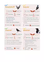 Voorbeeld - Défis nature spel in thema vogels - Pagina 2