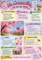 Vorschau - Unterrichtsreihen - KIRSCHBLÜTE - SACHUNTERRICHT - DOKTOR DINGSDA - qlixu - Seite 3