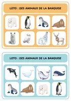Aperçu - Jeux - Loto - Des animaux de la banquise - Page 1