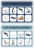 Aperçu - Jeux - Loto - Des animaux de la banquise - Page 2