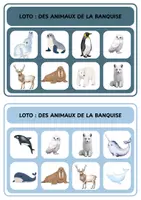 Aperçu - Jeux - Loto - Des animaux de la banquise - Page de couverture