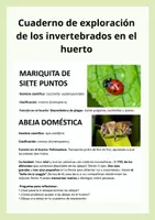 Vista previa - Hojas de trabajo - Cuaderno de invertebrados en el huerto - Portada