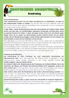 Vorschau - Arbeitsblätter - Tropischer Regenwald - Seite 3