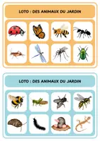 Aperçu - Jeux - Loto - Des animaux du jardin - Page 1