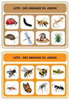 Aperçu - Jeux - Loto - Des animaux du jardin - Page 2