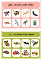 Aperçu - Jeux - Loto - Des animaux du jardin - Page de couverture