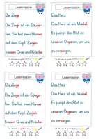 Vorschau - Arbeitsblätter - Leseblatt - Z - 1. Klasse - Seite 2