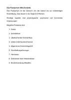 Vorschau - Stundenentwürfe - WöchnerInnen Pflege Puerperium - Seite 1