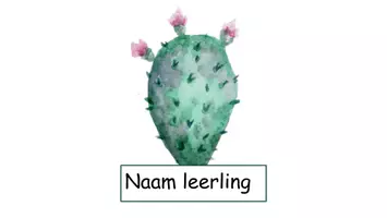 Voorbeeld - Klassenmanagement cactus, alles in één - Pagina 1