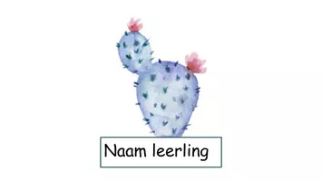 Voorbeeld - Klassenmanagement cactus, alles in één - Pagina 2