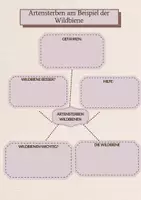 Vorschau - Arbeitsblätter - Artensterben Wildbienen - Deckblatt
