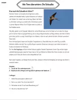 Vorschau - Arbeitsblätter - Überwinterungsstrategien am Beispiel verschiedener Tiere - Seite 1