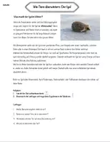 Vorschau - Arbeitsblätter - Überwinterungsstrategien am Beispiel verschiedener Tiere - Seite 2