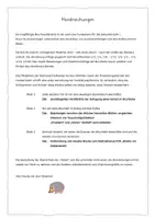 Vorschau - Arbeitsblätter - Brüche verstehen und vergleichen mit Bruchstreifen - 3 Merkblätter - Seite 1