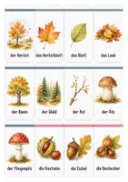 Vorschau - Fördermaterial/Inklusion - Herbst Wortschatz | Lernkarten für Vorschule und Kindergarten - Seite 1