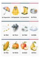 Vorschau - Fördermaterial/Inklusion - Herbst Wortschatz | Lernkarten für Vorschule und Kindergarten - Seite 3