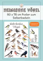 Vorschau - Arbeitsblätter - Heimische Vögel - Wachsendes Materialpaket - Seite 1