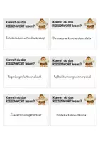 Vorschau - Fördermaterial/Inklusion - Riesenwörter-Kartei I Freiarbeit I genaues und flüssiges Lesen - Seite 3