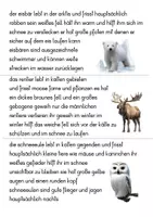 Vorschau - Stationenlernen - Groß- und Kleinschreibung Kartei Polartiere - Seite 3