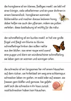 Vorschau - Stationenlernen - Groß-Kleinschreibung Abschreibkartei Wald- und Wiesentiere - Seite 2