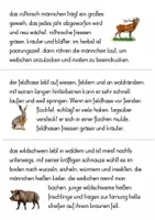 Vorschau - Stationenlernen - Groß-Kleinschreibung Abschreibkartei Wald- und Wiesentiere - Seite 3