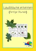 Vorschau - Stundenentwürfe - fertige Stunde: Laubbäume an Blatt und Frucht erkennen - Deckblatt