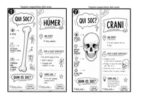 Vista previa - Hojas de trabajo - Qui soc? Els ossos del cos humà | Targetes cooperatives per a Pi-Ma-Pa (Primària). - página 1