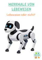 Vorschau - Arbeitsblätter - Kennzeichen von Lebewesen Tafelmaterial und Arbeitsblatt - Deckblatt