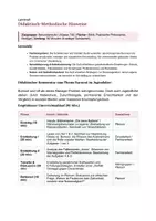 Vorschau - Stundenentwürfe - Psychische Erkrankungen: Burnout - Seite 1